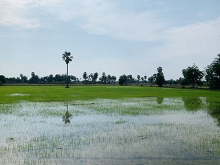IMG_E1502.JPG